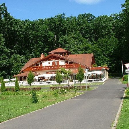 Erdogyoengye Etterem Es Panzio Zalaegerszeg Exterior photo