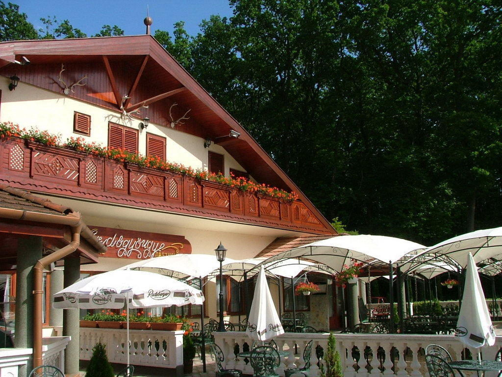 Erdogyoengye Etterem Es Panzio Zalaegerszeg Exterior photo