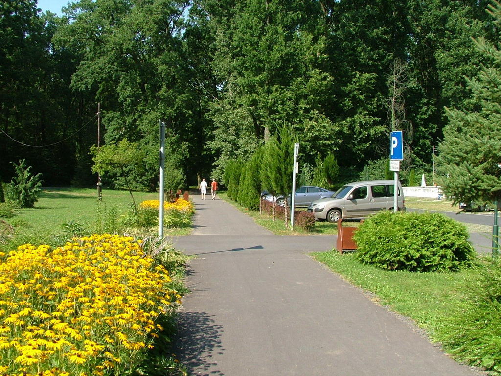 Erdogyoengye Etterem Es Panzio Zalaegerszeg Exterior photo